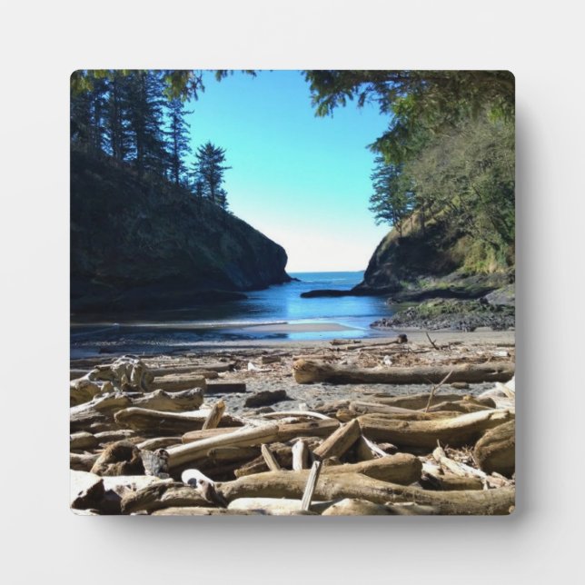 Plaque Photo Dead Man's Cove, Cape Disdéception, WA (Devant)