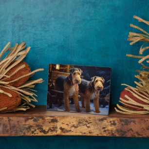 Plaque Photo Décor de Noël Traîneau enneigé d'Airedale  