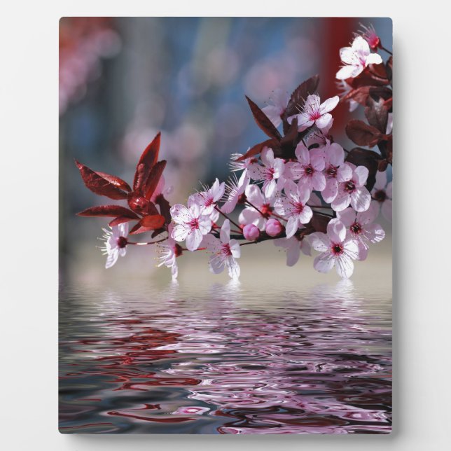 Plaque Photo Decorative cherry tree blossoms (Devant)