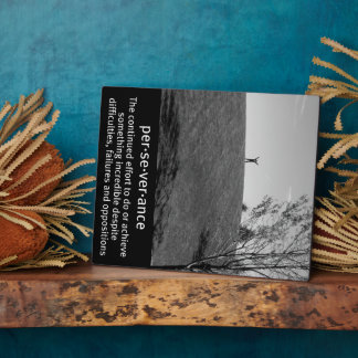 Plaque Photo Définition de persévérance