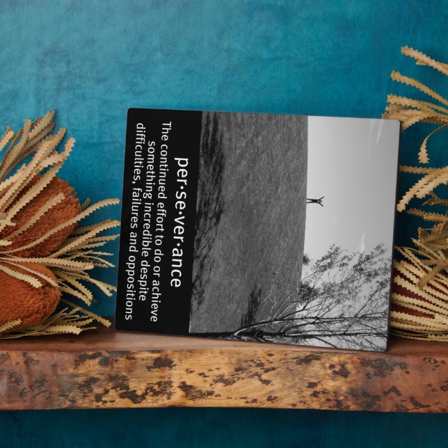 Plaque Photo Définition de persévérance (Côté)