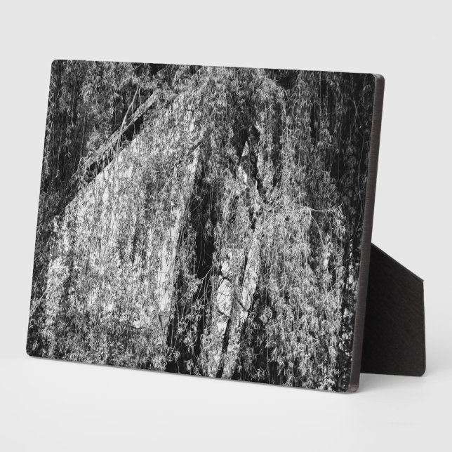 Plaque Photo demeure (Côté)