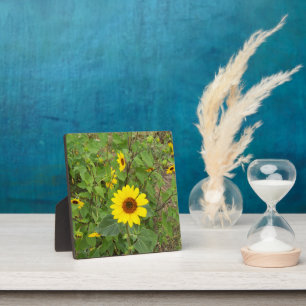 Plaque Photo Des Fleurs De Soleil Fluent Au Vent,