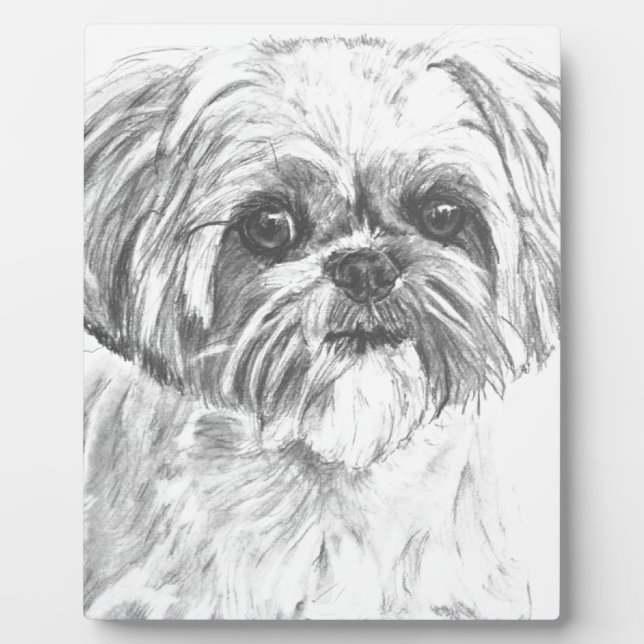 Plaque Photo Dessin Shih Tzu (Devant)