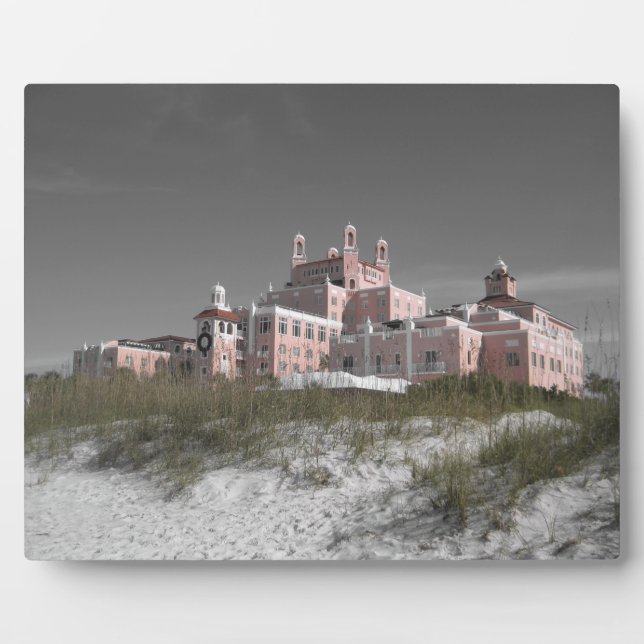 Plaque Photo Don CeSar vintage (Devant)