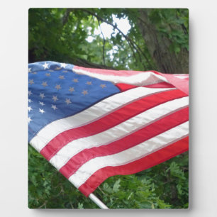 Plaque Photo Drapeau américain