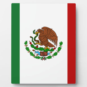 Plaque Photo Drapeau de Cinco de Mayo au Mexique