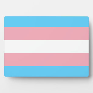 Plaque Photo Drapeau de fierté transgenre