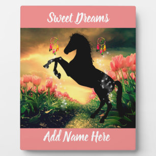 Plaque Photo Dreamcatcher