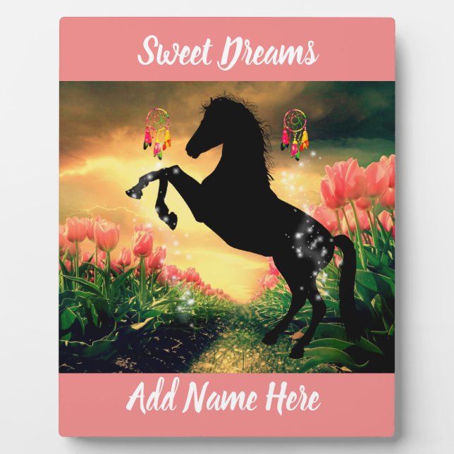 Plaque Photo Dreamcatcher (Devant)