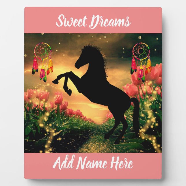 Plaque Photo Dreamcatcher (Devant)