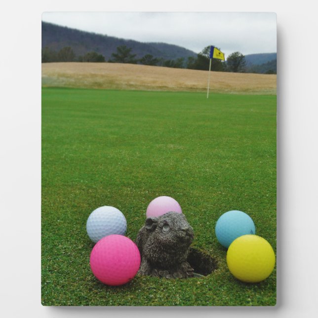 PLAQUE PHOTO DSCF0692.JPG (Devant)