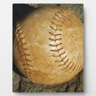 PLAQUE PHOTO DSCF7523.JPG