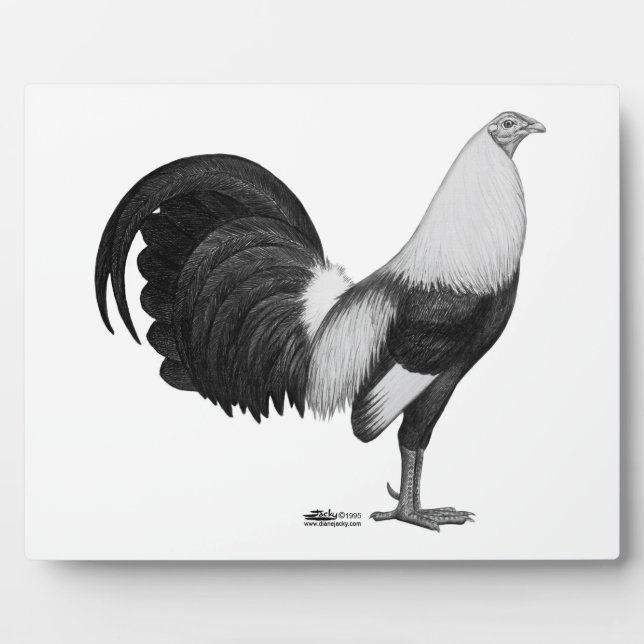 Plaque Photo Duckwing Gamecock (Devant)