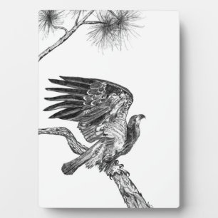 PLAQUE PHOTO EAGLES HARRIET +M15 ACCUEIL SECONDE NATURE MON MON