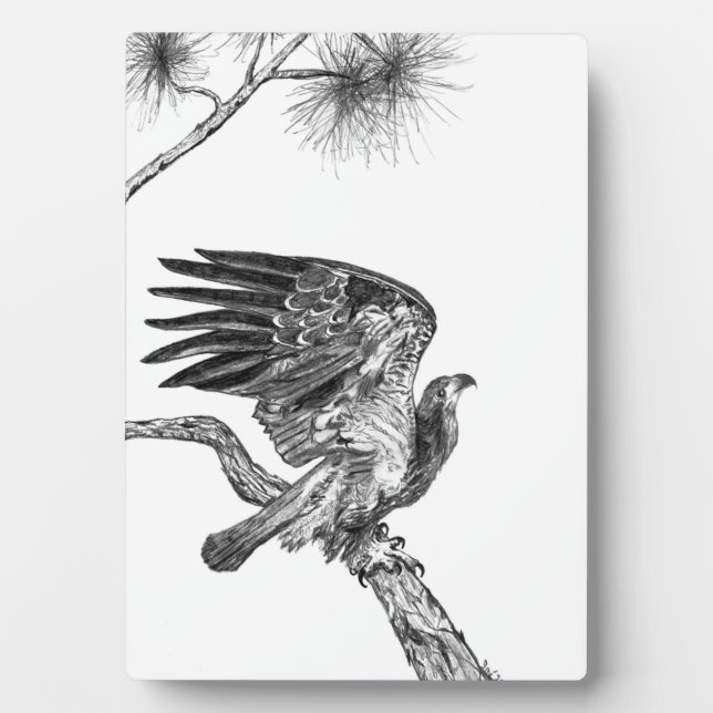 PLAQUE PHOTO EAGLES HARRIET +M15 ACCUEIL SECONDE NATURE MON MON (Devant)