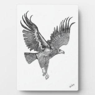 PLAQUE PHOTO EAGLES HARRIET +M ACCUEIL ARBRE FAMILIAL SOAR HAUT