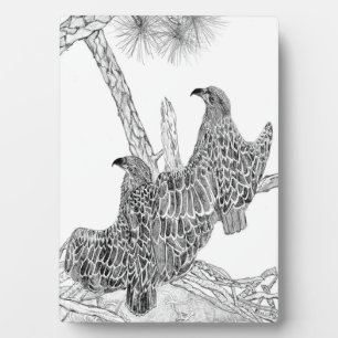 PLAQUE PHOTO EAGLES HARRIET + M E17 + E18 DEVENIR UN GRAND AVIO