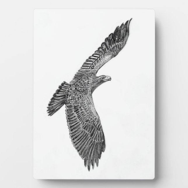 Plaque Photo EAGLES HARRIET + M HOME FAMILLE TREE E9s NOUVELLE  (Devant)