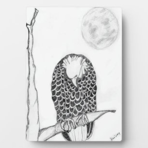 Plaque Photo EAGLES HARRIET OZZIE M15 Es ACCUEIL NOTRE ARBRE FA