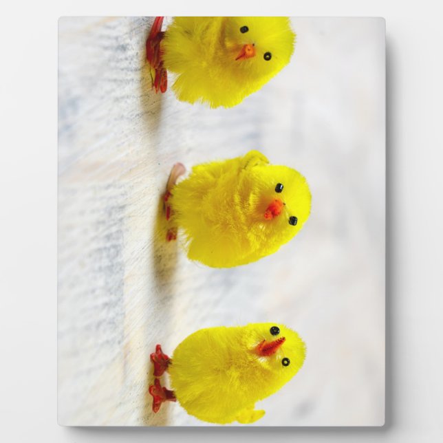 Plaque Photo Easter Decoration - chicks en row (Devant)