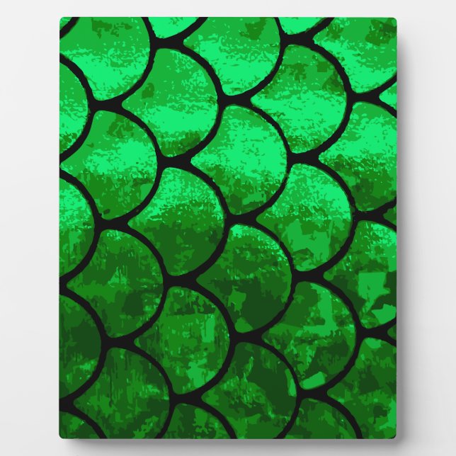 Plaque Photo écailles de poisson (Devant)