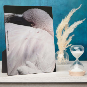 Plaque Photo Effet de dessin de portrait de flamant rose Art