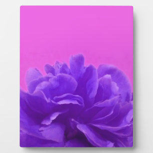 Plaque Photo Elegant Purple Raspberry Floral