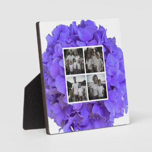 Plaque Photo Élégantes hydrangeas florales lilas lavande violet