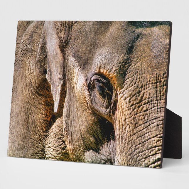 PLAQUE PHOTO ÉLÉPHANT (Côté)