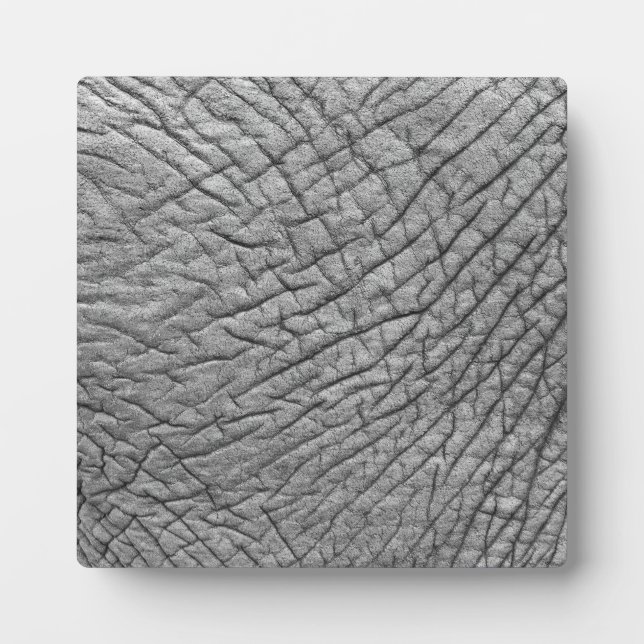 Plaque Photo Elephant skin (Devant)