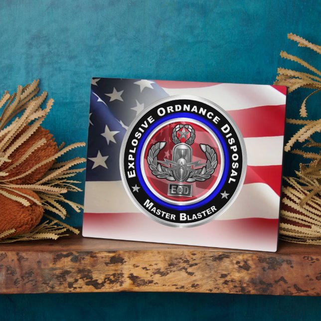 Plaque Photo Élimination des munitions explosives (Côté)