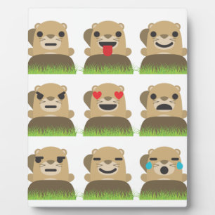 Plaque Photo emojis