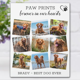 Plaque Photo Empreintes de pattes à jamais dans nos cœurs Mémor