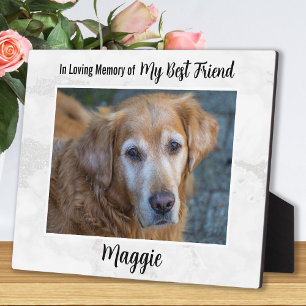 Plaque Photo En Mémoire Affectueuse - Sympathie Perte Animal de