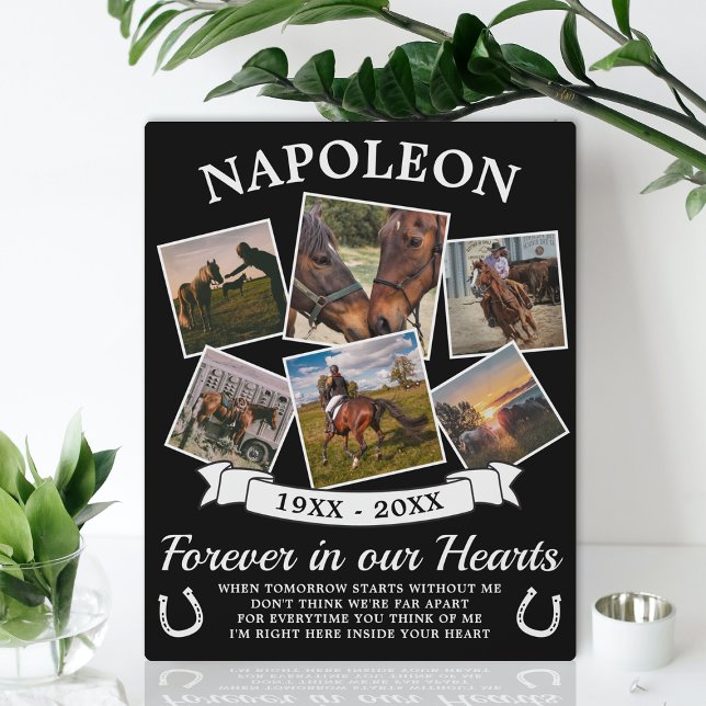 Plaque Photo En souvenir affectueux Cheval (Créateur téléchargé)