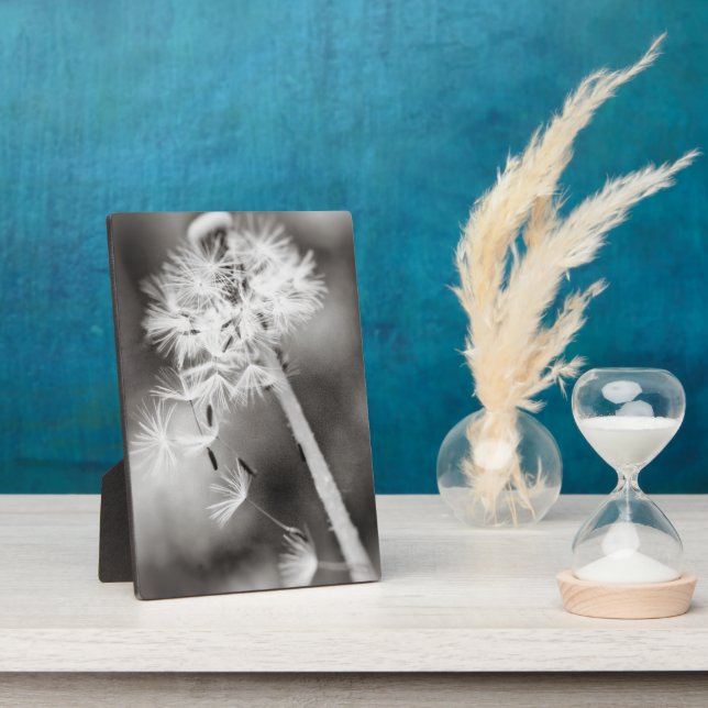 Plaque Photo Envoi de Vœux (Côté)