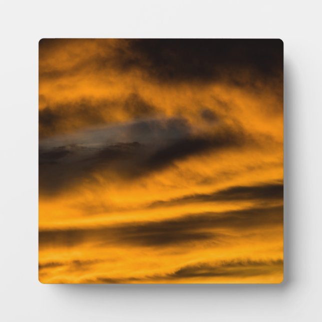 Plaque Photo épuisement des aigles (Devant)