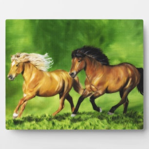 Plaque Photo Équipe de rêve