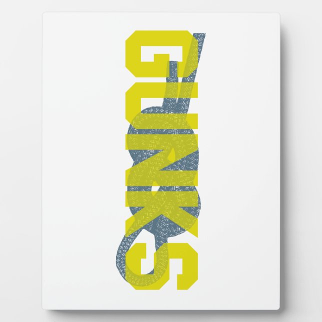 Plaque Photo Escalade Shawagunks (Devant)