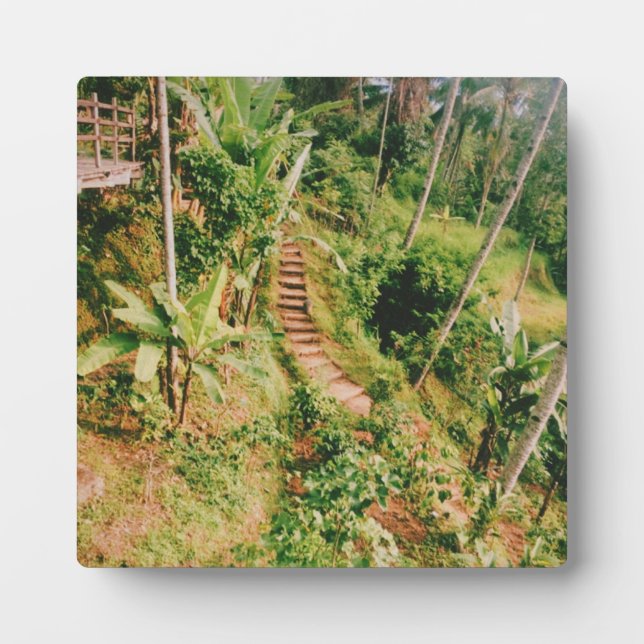 Plaque Photo Escalier de la forêt tropicale de Bali (Devant)