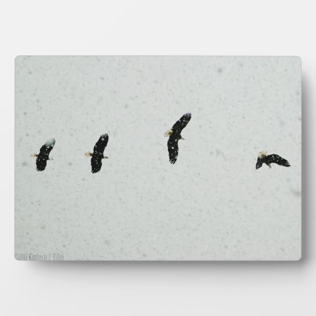 Plaque Photo Esprit du vol (Devant)