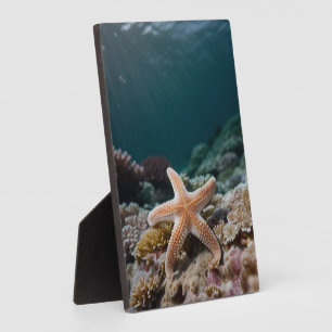 Plaque Photo Étoiles de mer en haute mer