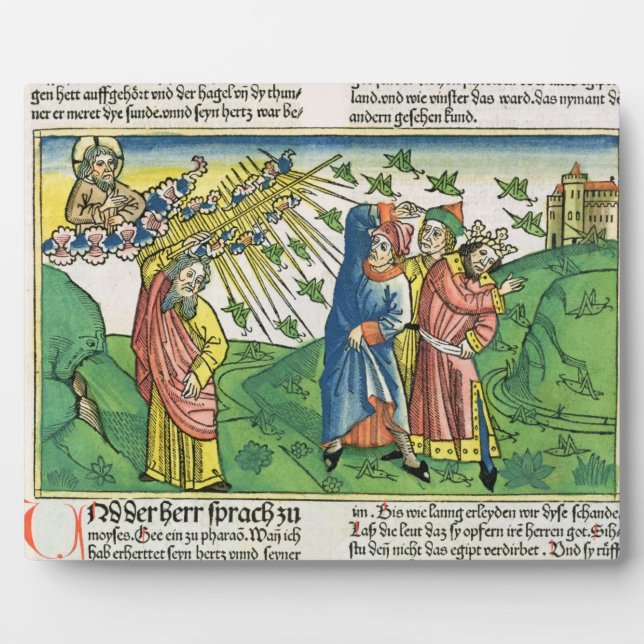 Plaque Photo Exode 10:1-20 Les sept fléaux de l'Égypte : la pla (Devant)