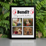 Plaque Photo Famille 4 photo customisée collage de chien table<br><div class="desc">Célébrez votre meilleur ami avec une plaque photo Collage personnalisée. Quand vous avez tant de souvenirs et de photos amusants, une seule photo ne suffit pas. Ce poster contient 4 photos, une citation, et vous pouvez personnaliser le nom de votre animal de compagnie. Vous pouvez également modifier la couleur de...</div>