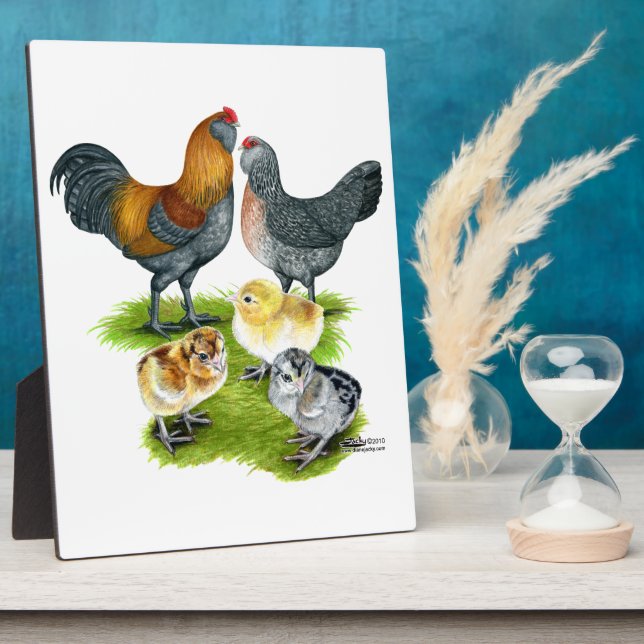 Plaque Photo Famille Ameraucana de poulet (Côté)