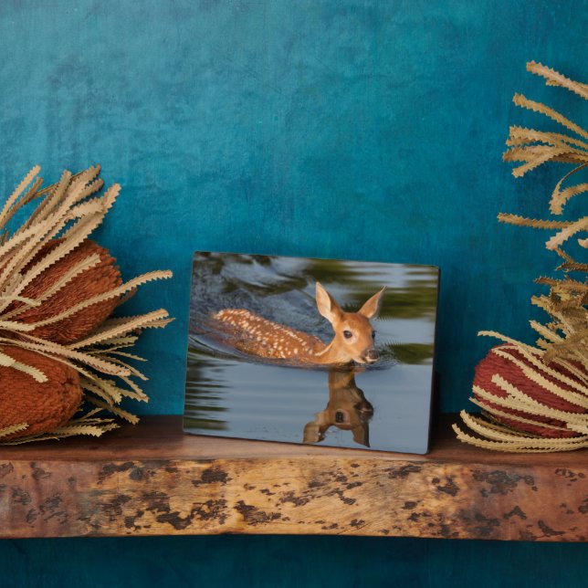 Plaque Photo Faon de cerf | Minnesota (Côté)