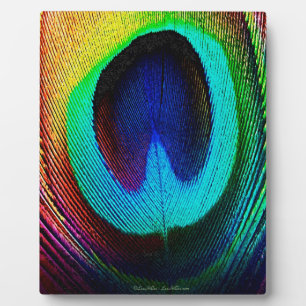 Plaque Photo Feather