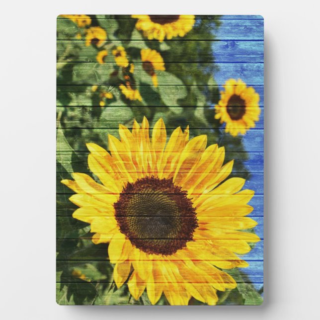 Plaque Photo Fence painted de Sunflowers (Devant)