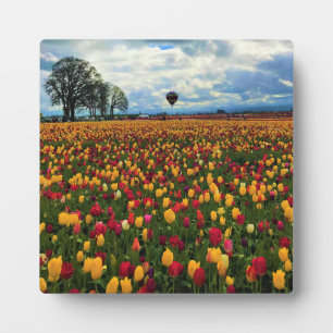 Plaque Photo Ferme de tulipes en Oregon